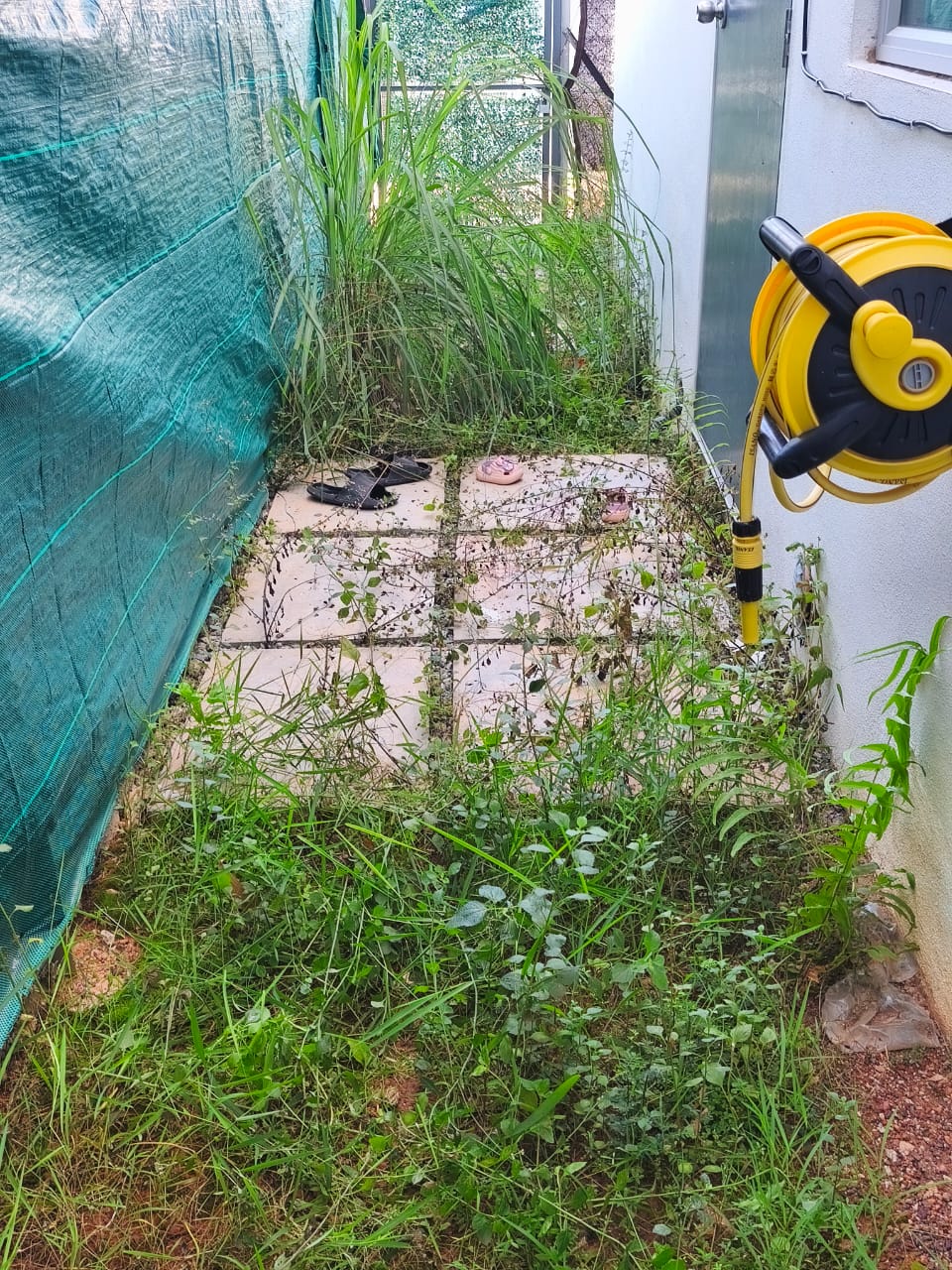 Sebelum Servis Mesin Rumput 1